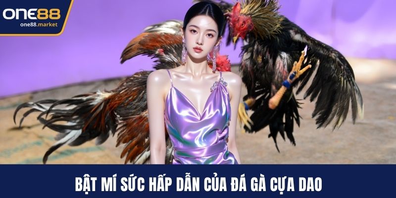 Bật mí sức hấp dẫn của đá gà cựa dao