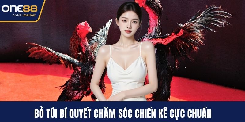 Bỏ túi bí quyết chăm sóc chiến kê cực chuẩn