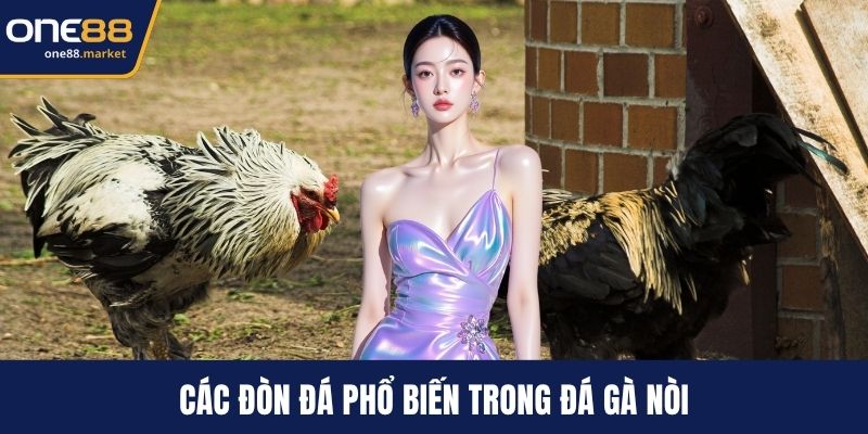 Các đòn đá phổ biến trong đá gà nòi