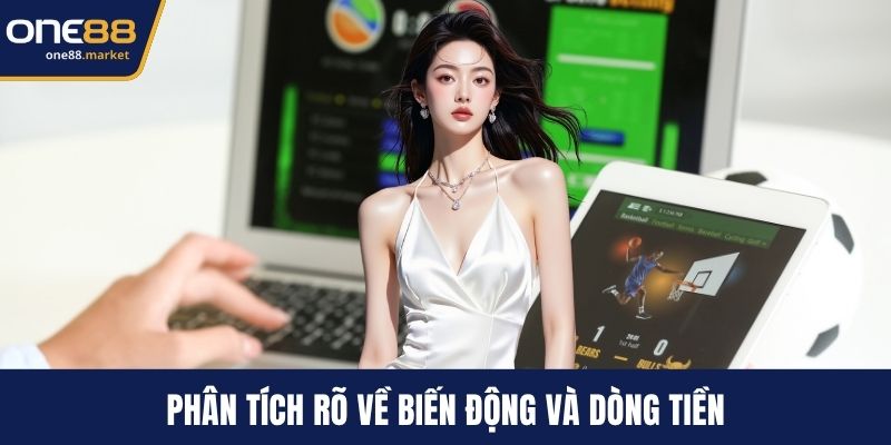 Phân tích rõ về biến động và dòng tiền